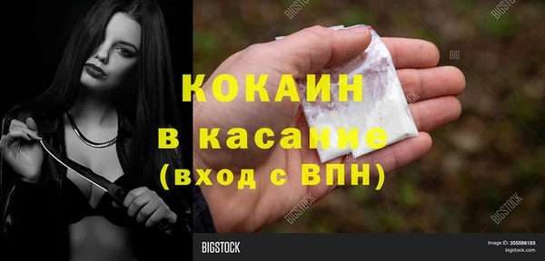 мяу мяу мука Вязьма